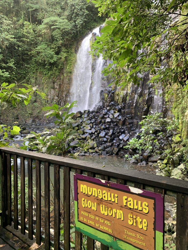 Mungalli Falls(マンガリ滝)の景色