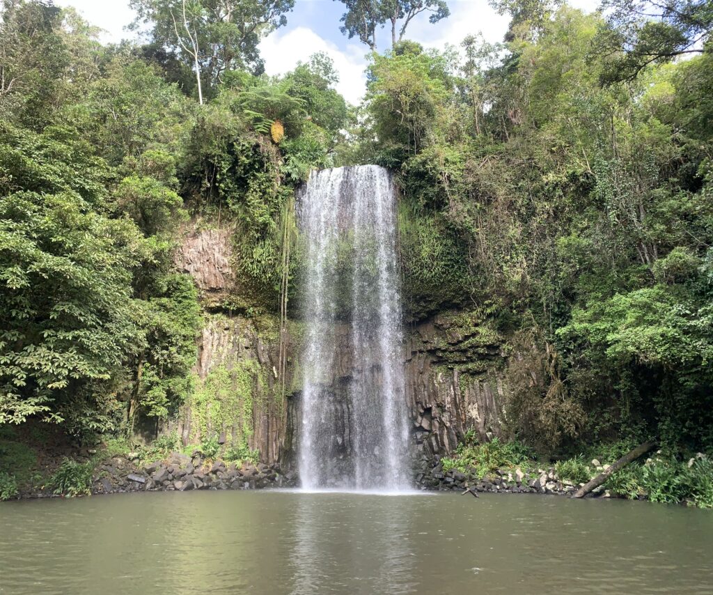 ミラミラ滝　景色　millaa milla falls 