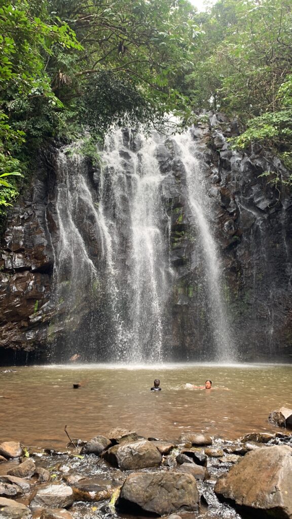 Ellinjaa Falls(エリンジャア滝)の景色