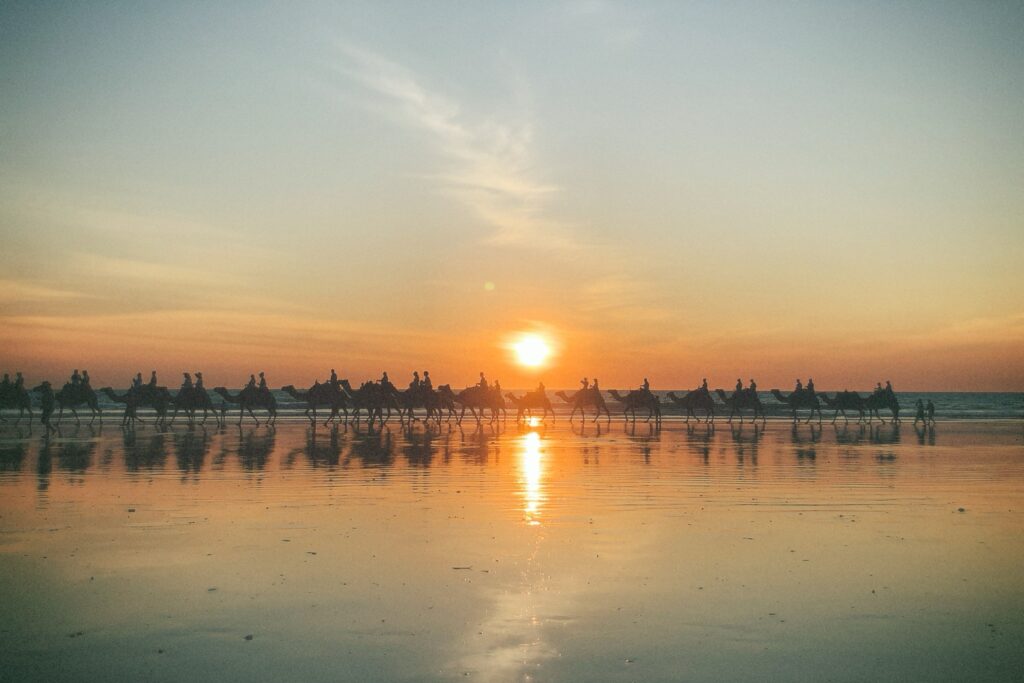 ブルームの夕日とラクダのコラボ　最高の景色